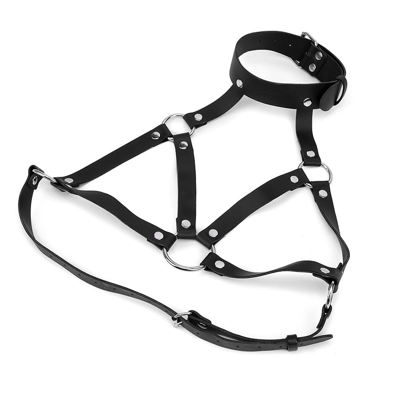 Ceinture de poitrine SFP pour  - Garter Belt Set avis et prix